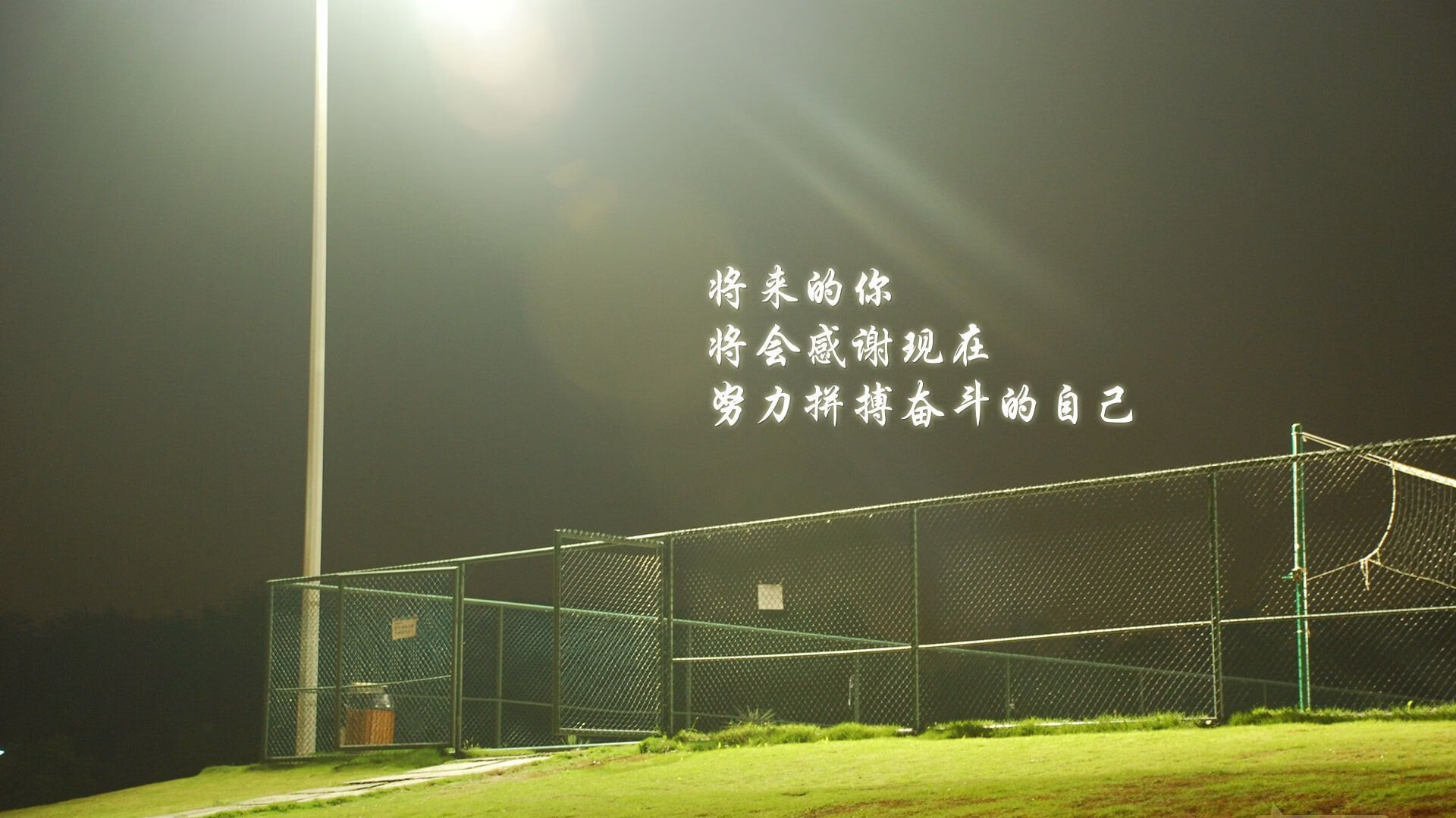 高校运动训练计划科学制定与实施效果，制定运动训练计划需要考虑哪些要素