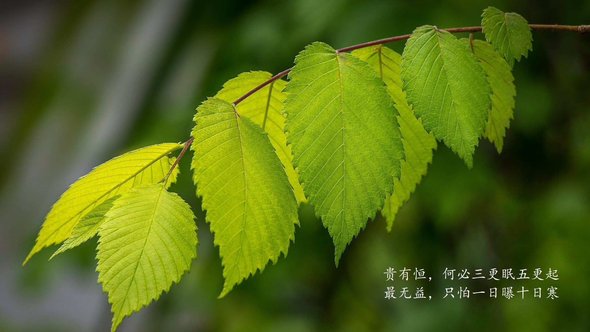 fb体育官网首页-CBA联盟优化联赛结构推动职业化建设，cba联盟规则