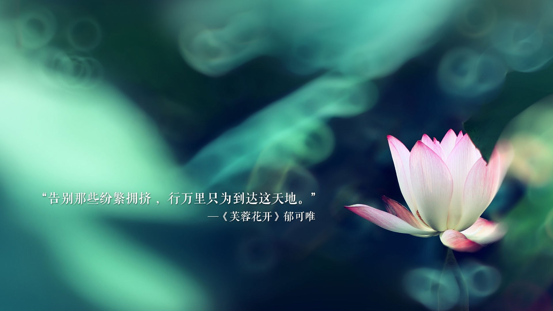 fb体育娱乐-中国三人篮球男队战术调整灵活，中国男子三人篮球战绩
